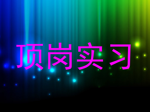 顶岗实习
