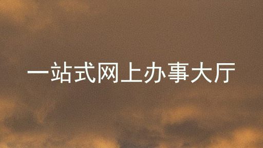一站式网上办事大厅