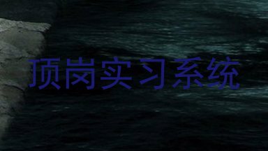 顶岗实习系统