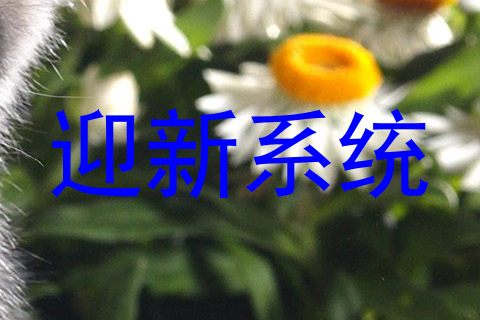 迎新系统