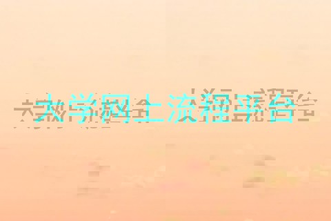 大学网上流程平台