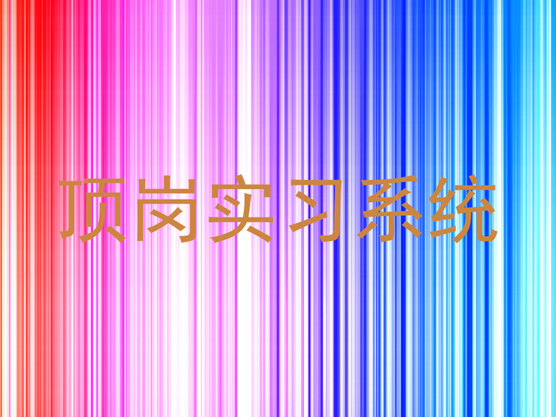 顶岗实习系统