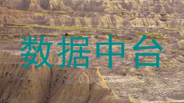 数据中台