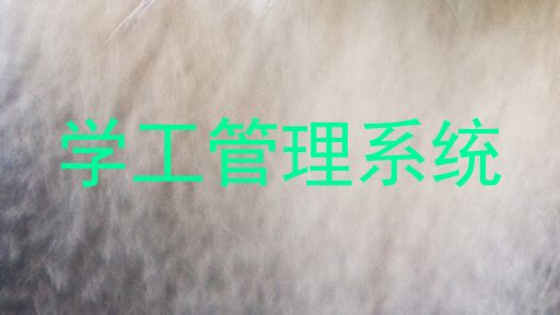 学工管理系统