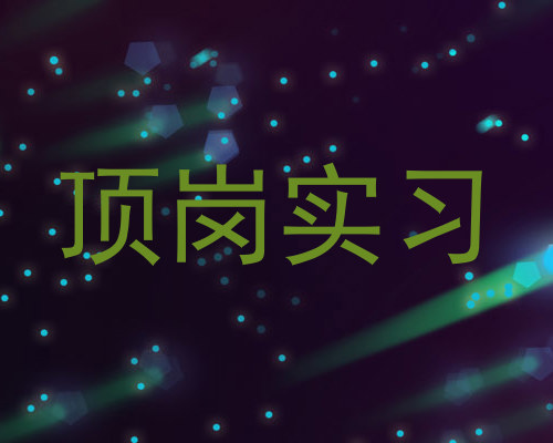 顶岗实习
