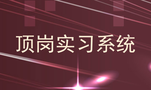 顶岗实习系统