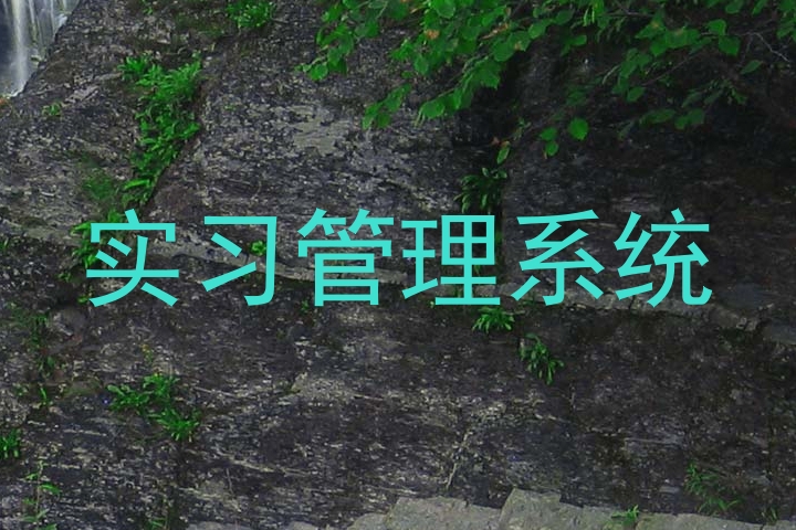 实习管理系统