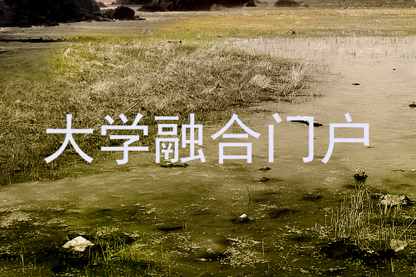 大学融合门户