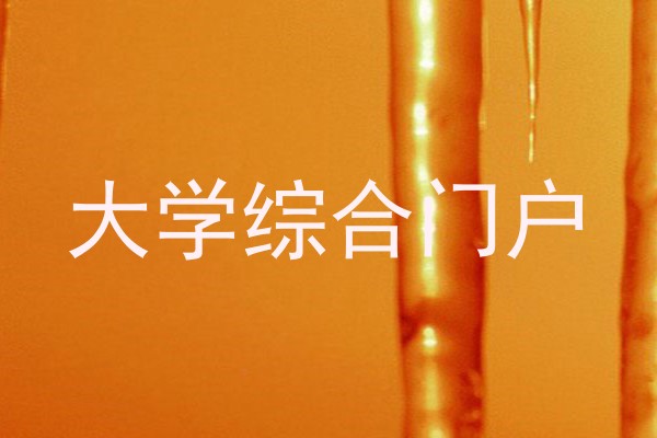 大学综合门户