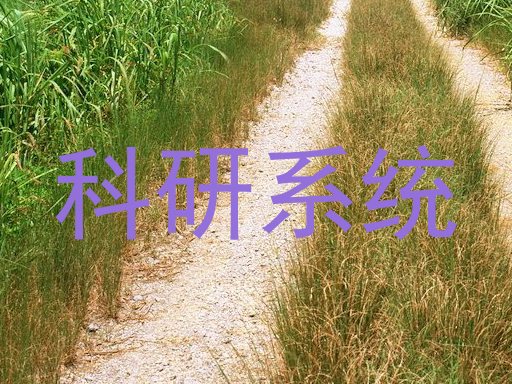 科研系统