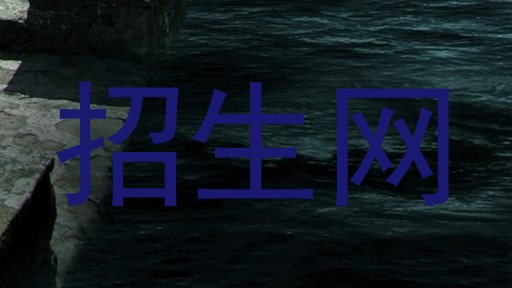 招生网