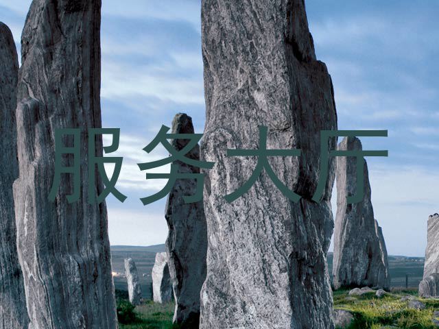 服务大厅