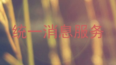 统一消息服务