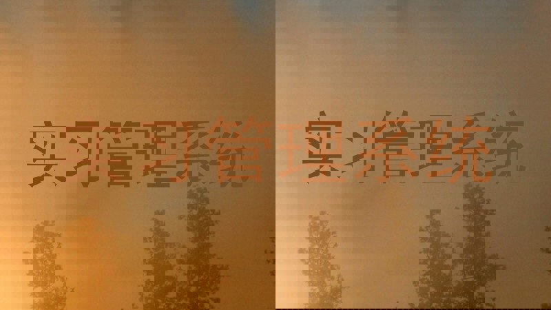 实习管理系统
