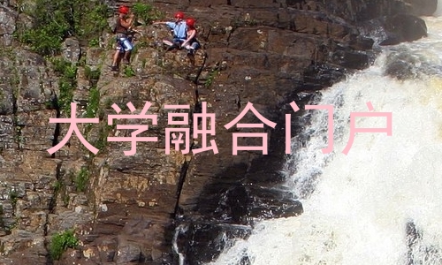 大学融合门户