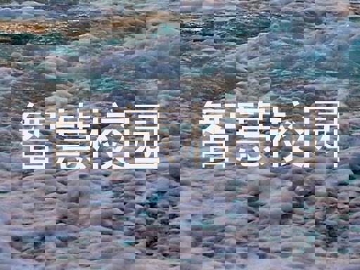 智慧校园
