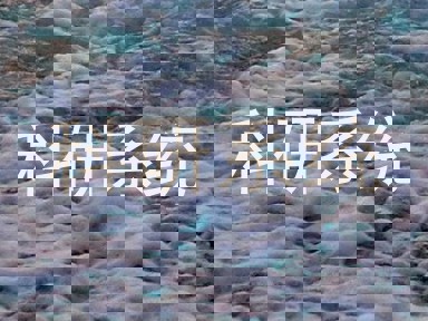 科研系统