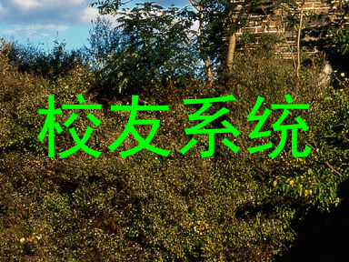 校友系统