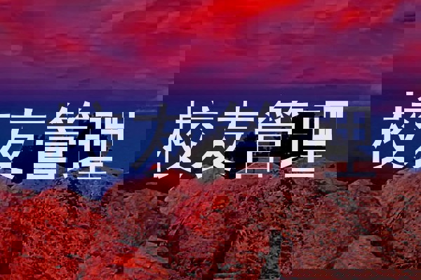 校友管理