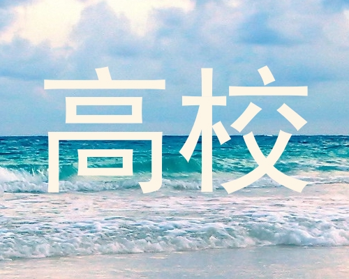 高校
