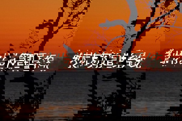 教材发放管理系统