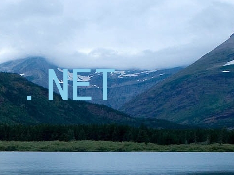 .NET