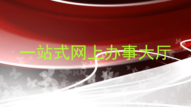 一站式网上办事大厅