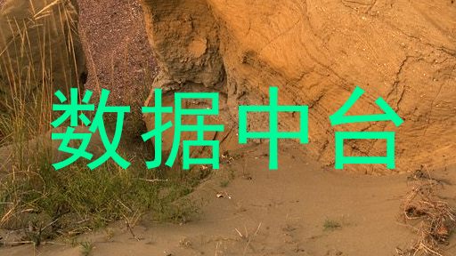 数据中台