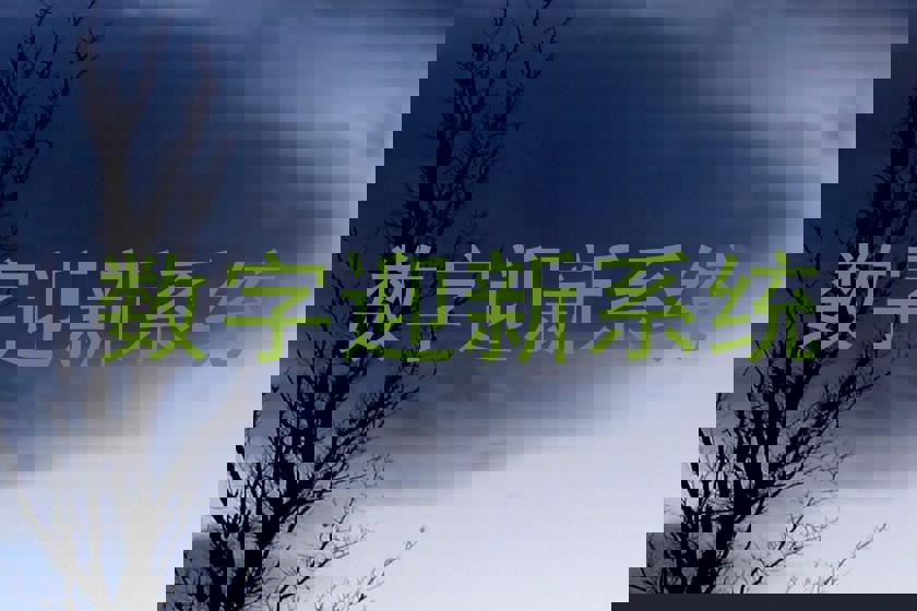 数字迎新系统