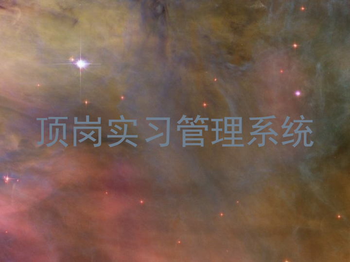 顶岗实习管理系统