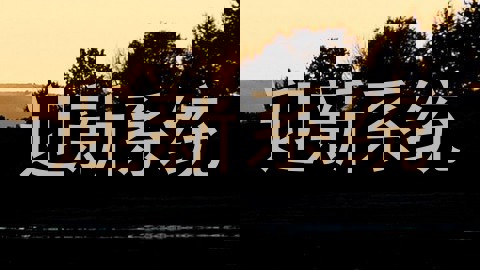 迎新系统