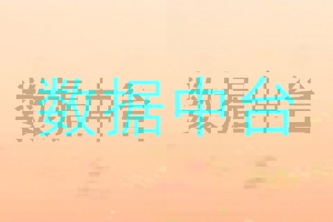 数据中台