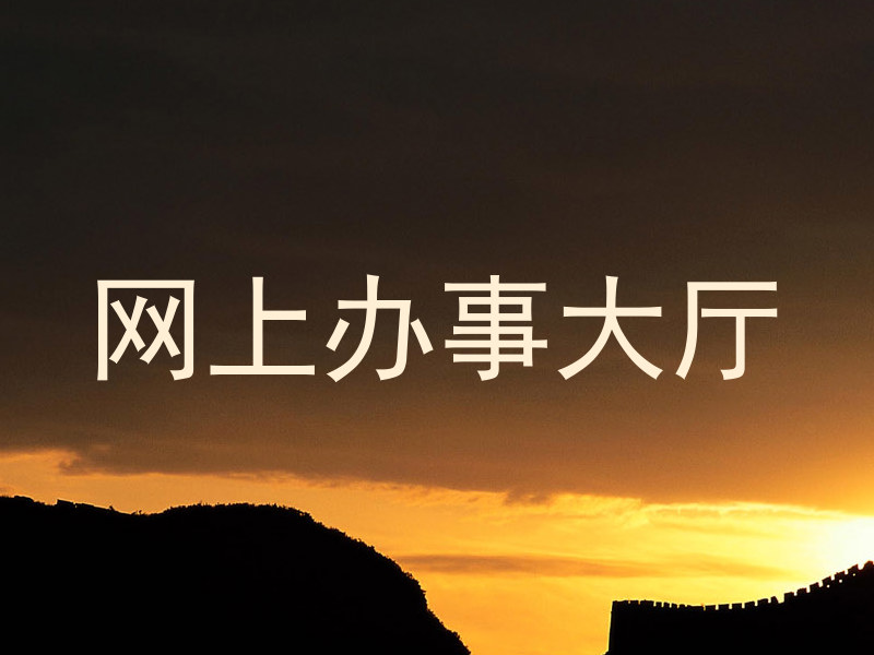 网上办事大厅
