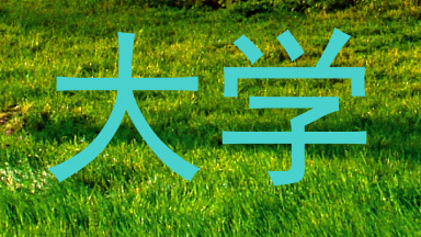 大学