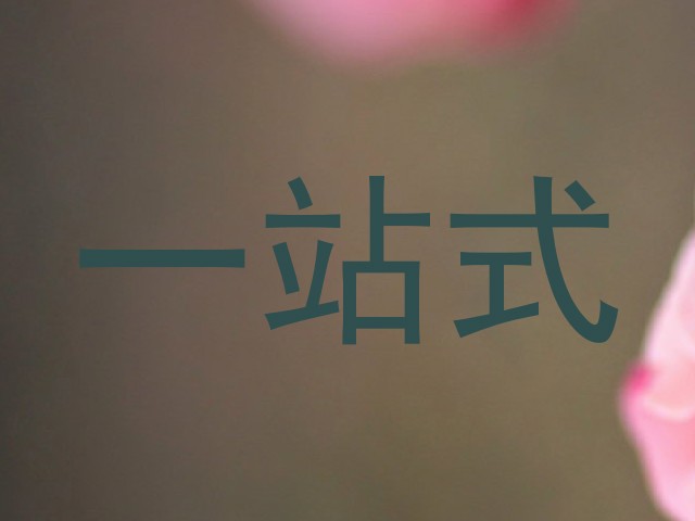一站式