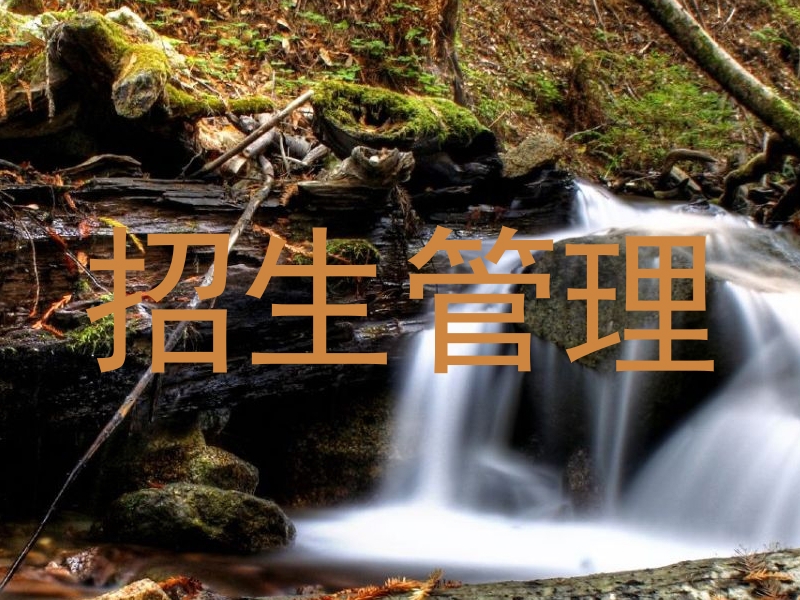 招生管理
