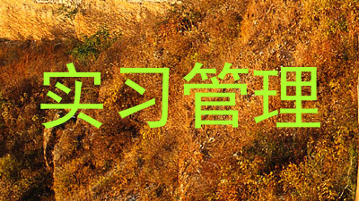 实习管理