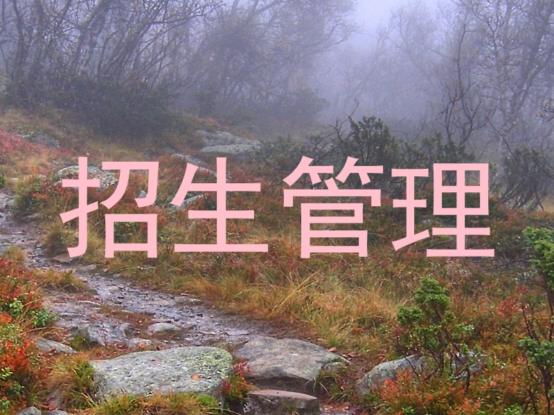 招生管理