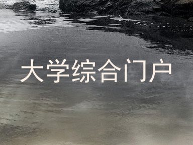 大学综合门户