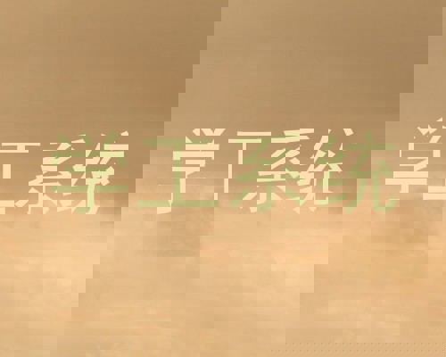 学工系统
