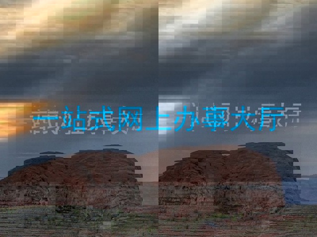 一站式网上办事大厅