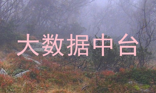 大数据中台