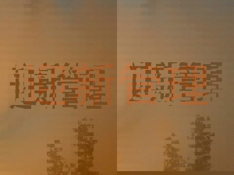 迎新管理