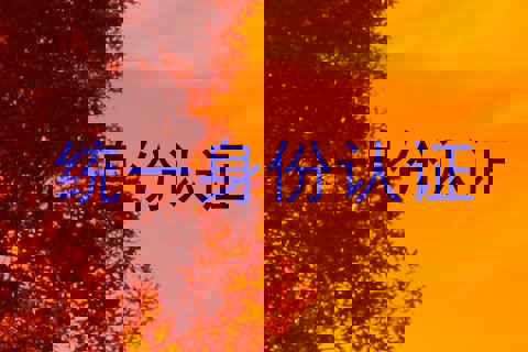 统一身份认证