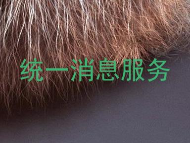 统一消息服务