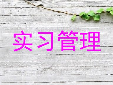 实习管理