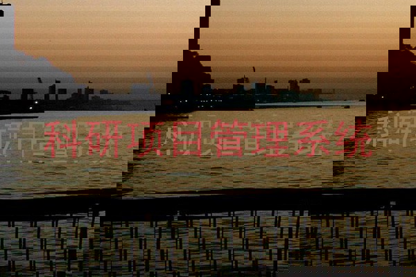 科研项目管理系统