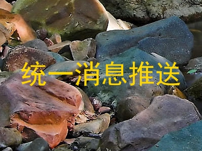 统一消息推送