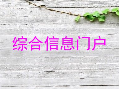 综合信息门户