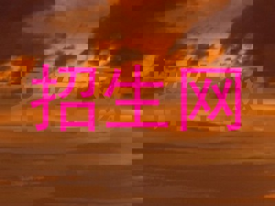 招生网